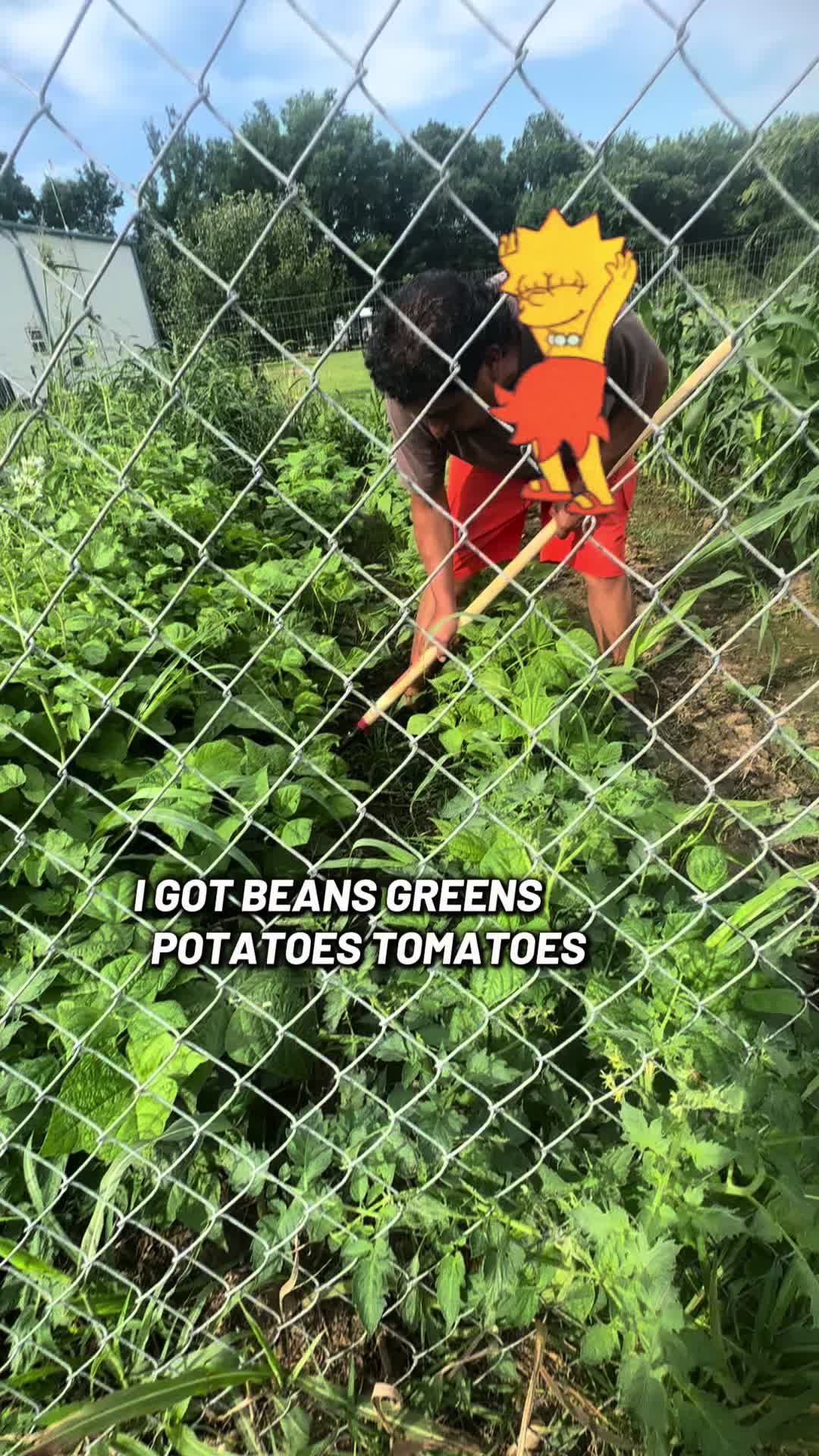 @NonniesFunnyFarm