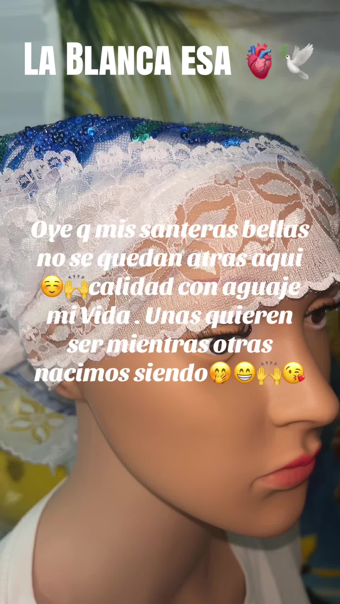@Lacasadeeggun🤍🖤