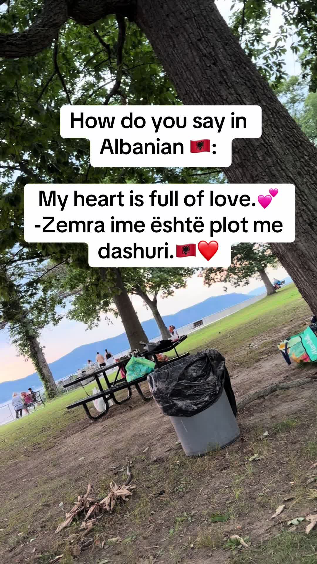 @Albana