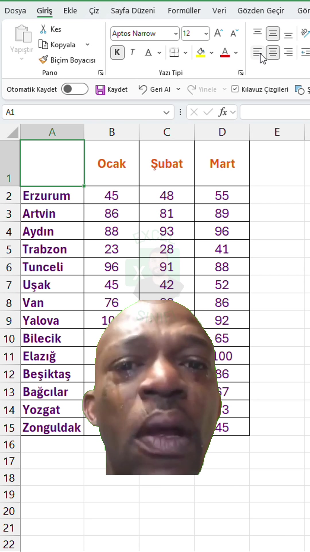 @Excel Sınıfı- Şahhan Yıldırır