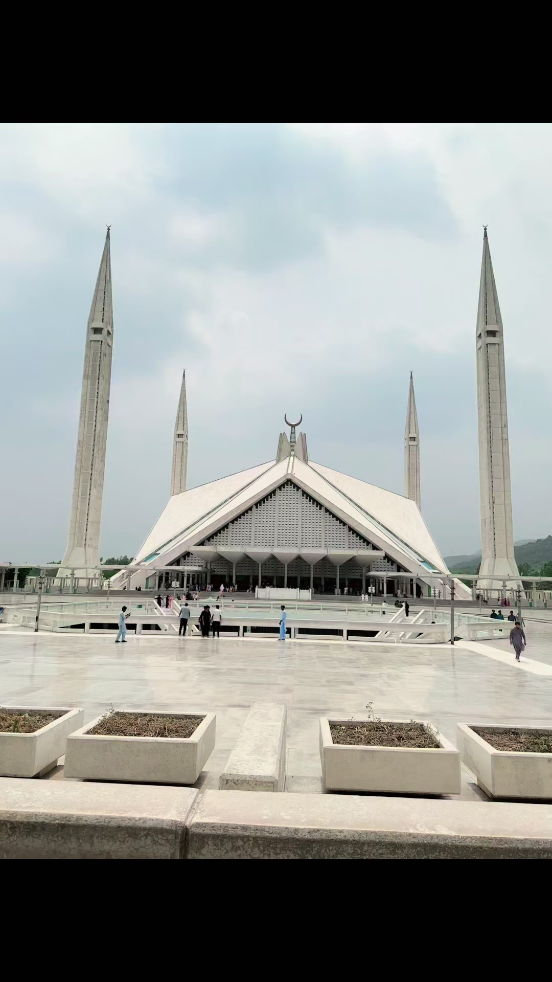 @Mir AMIR🦅