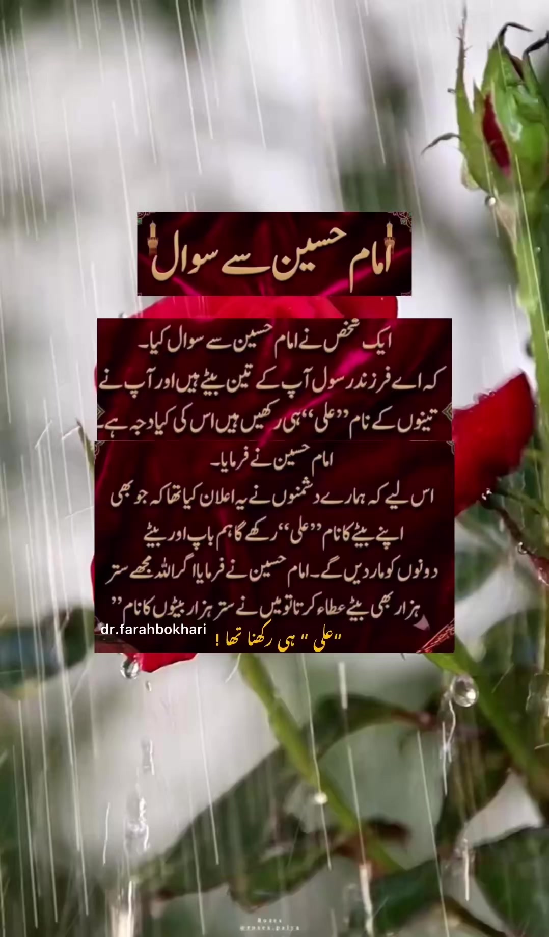 @dr.farahbokhari