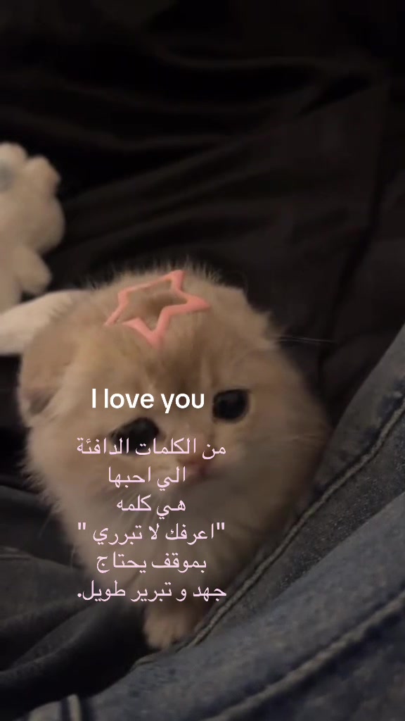 @｡⋆.✧˚ ⋆  S༒