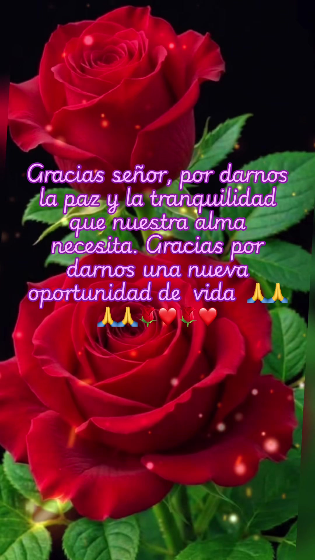 @@L”G💕