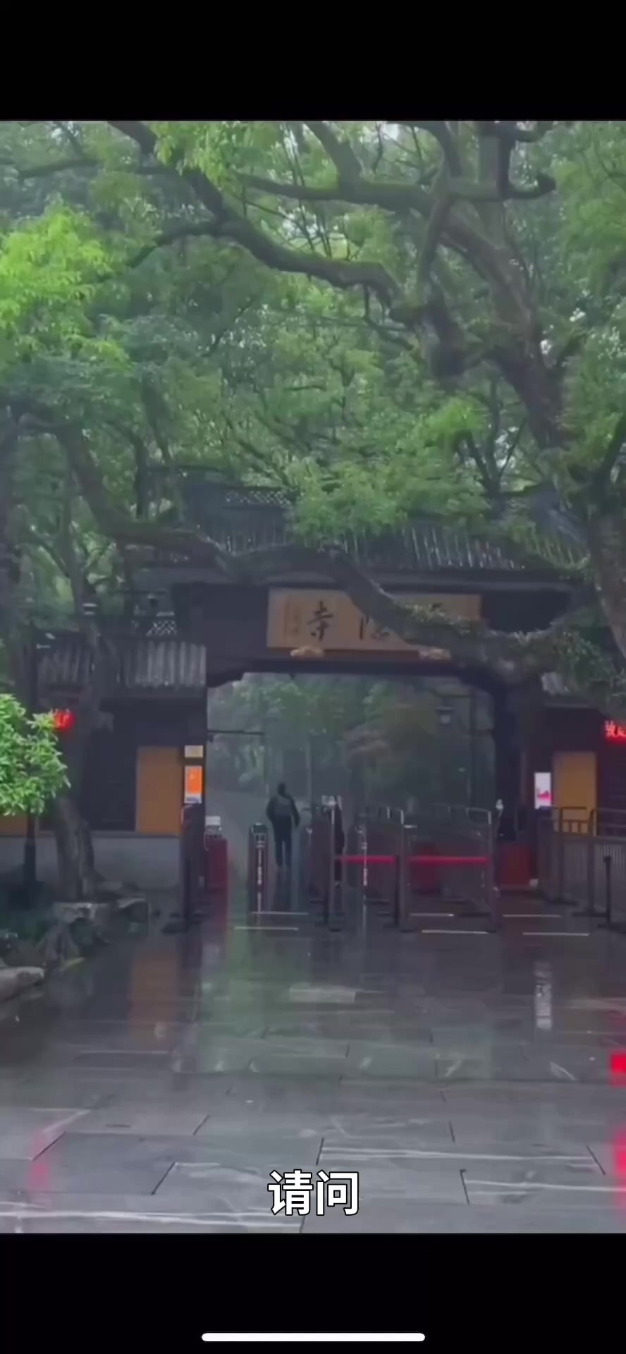 @南無阿彌陀佛🙏🙏🙏