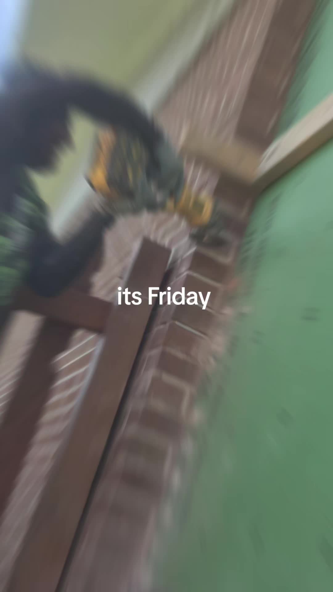 @theblackshipofthefamily