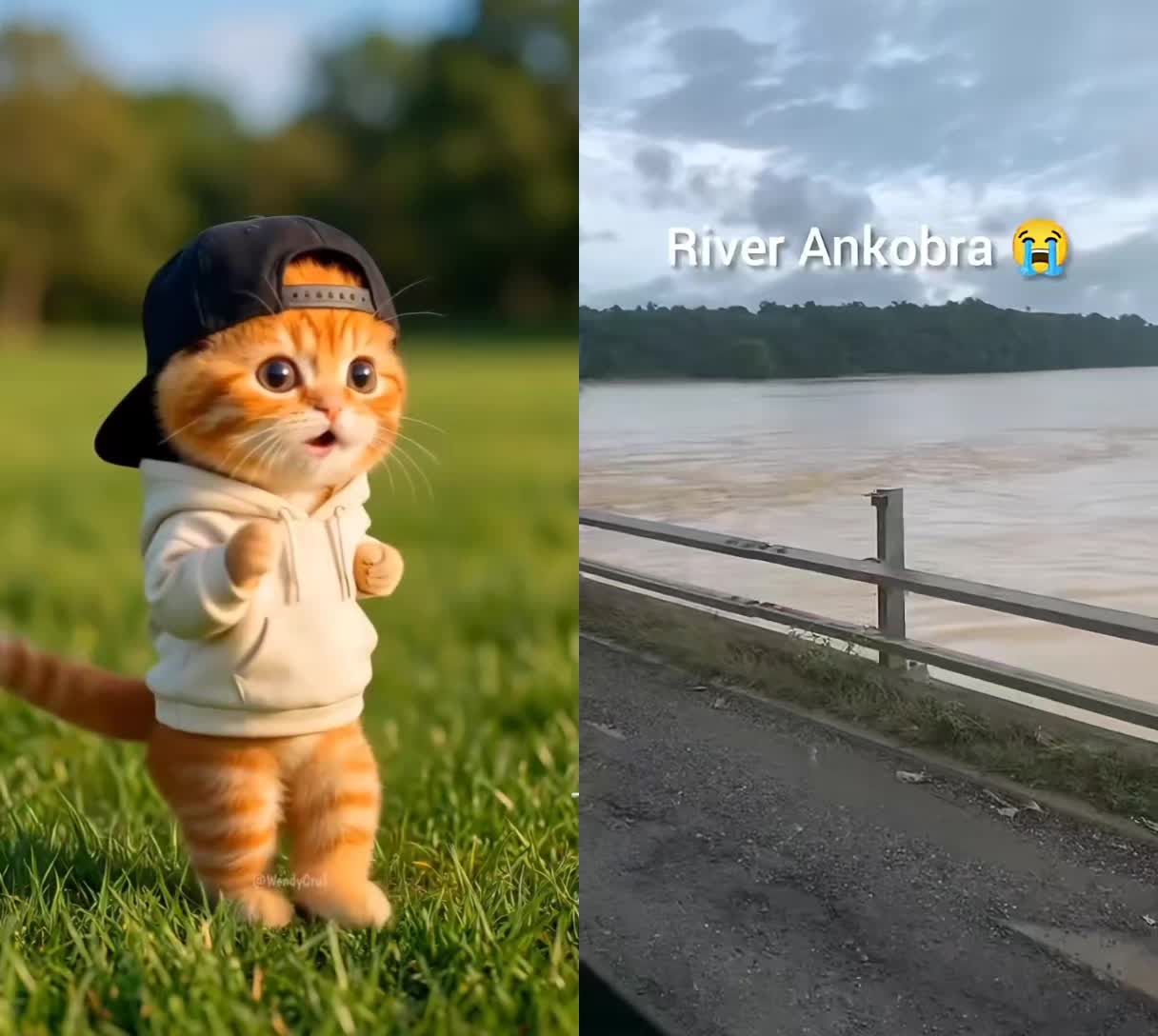 @Awaab