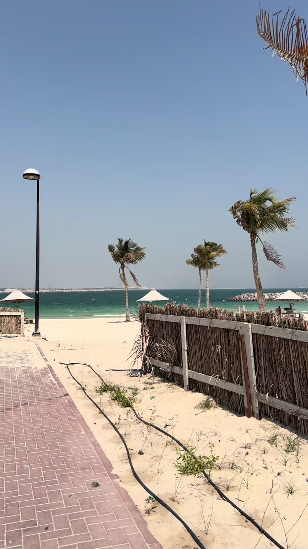 @3li🌞