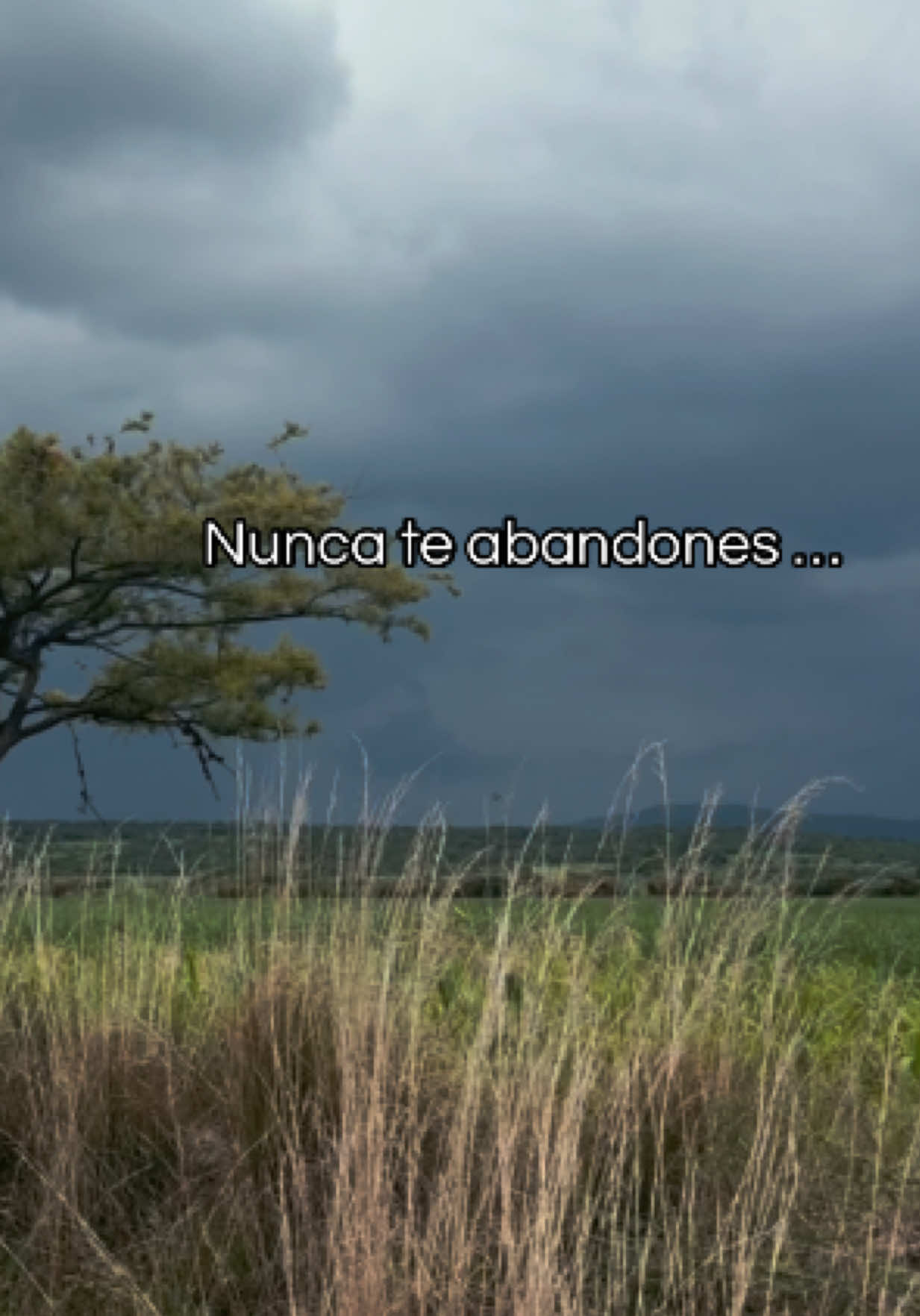 @Andrea Aguiñiga