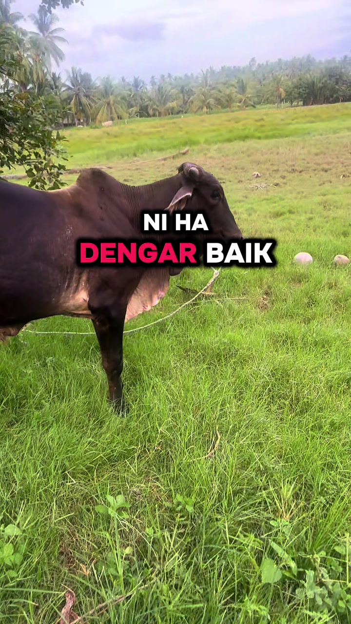 @Azam Hazman