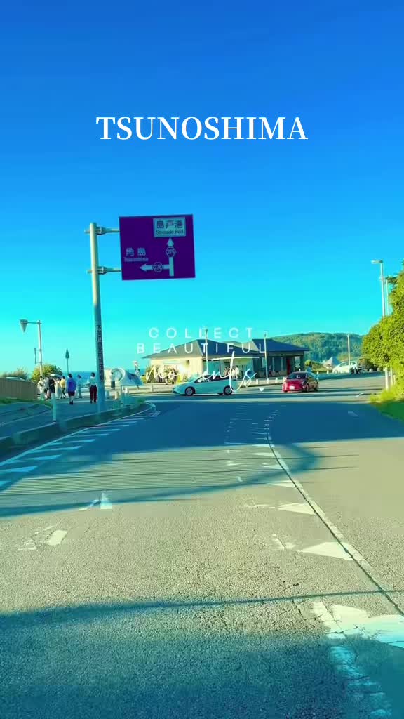 @🌴🌺 💗ᗰIYOᑭOᑎ💗🌺🌴