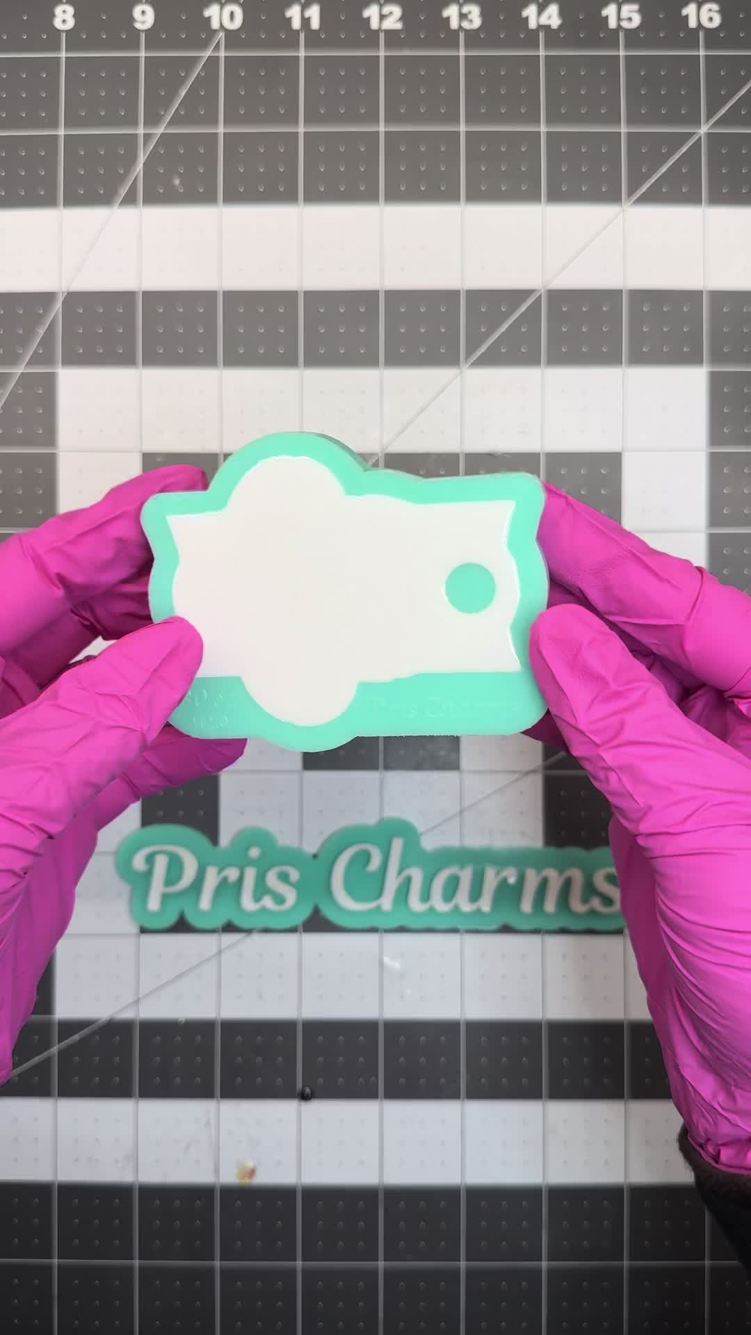 @Pris Charms