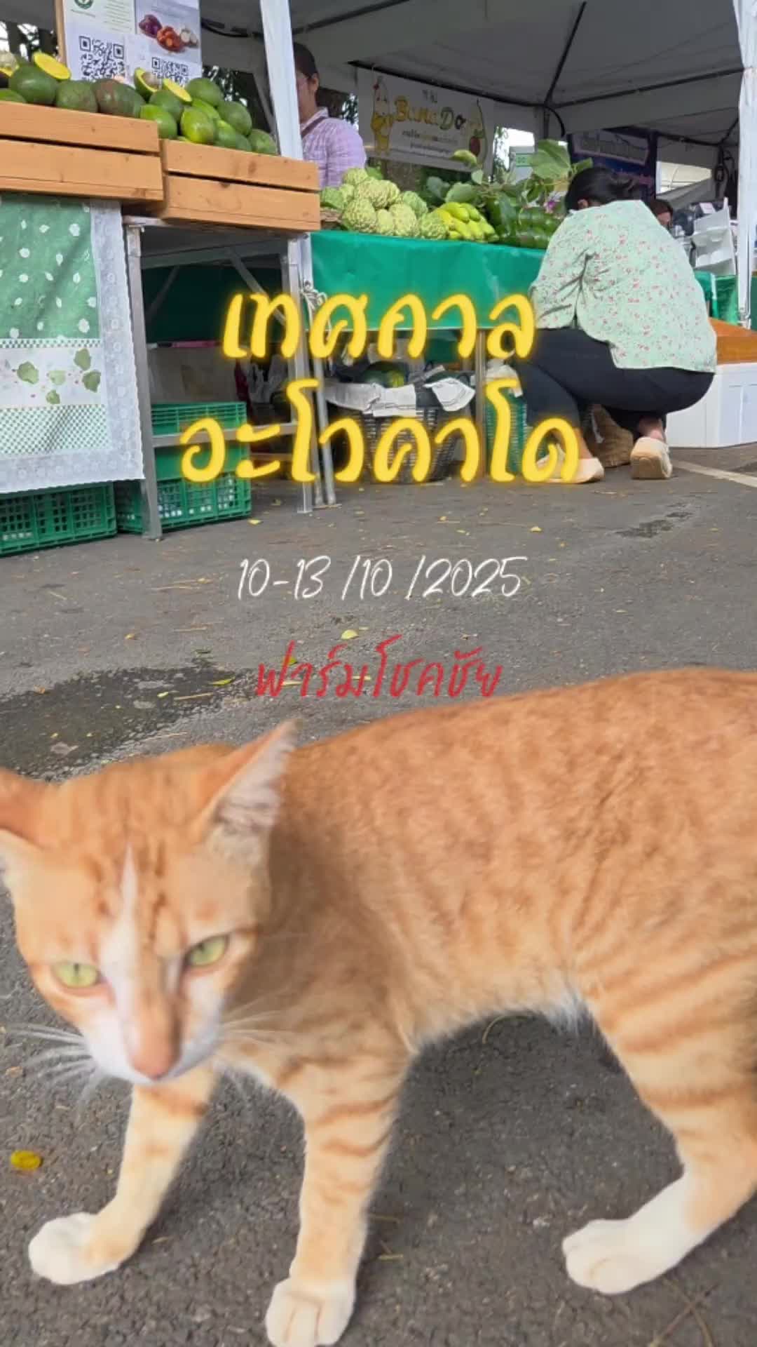 @เอโอนิคโคราช