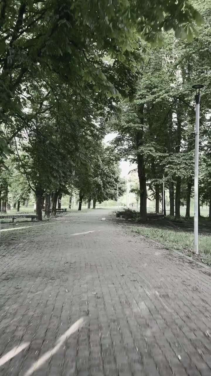 @Kojot