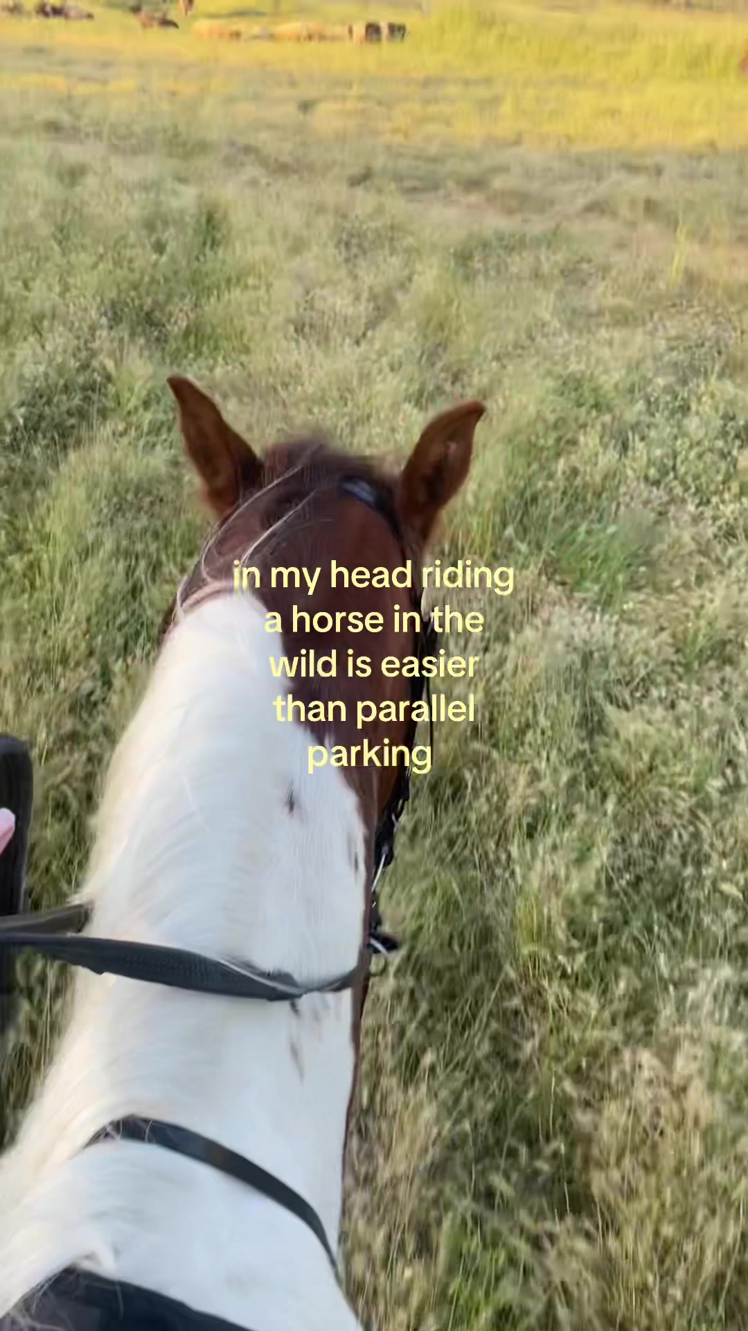 @Lara 🦢🩰