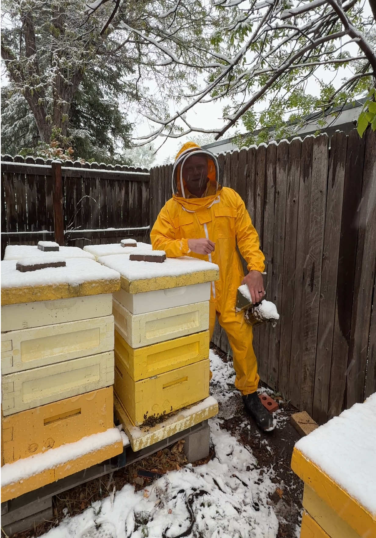 @Björn’s Colorado Honey
