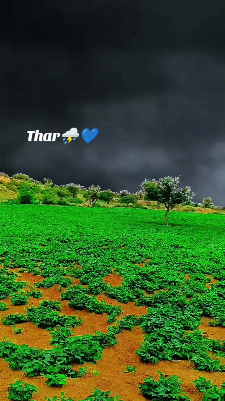 @๐ฅSindhi๐ญ