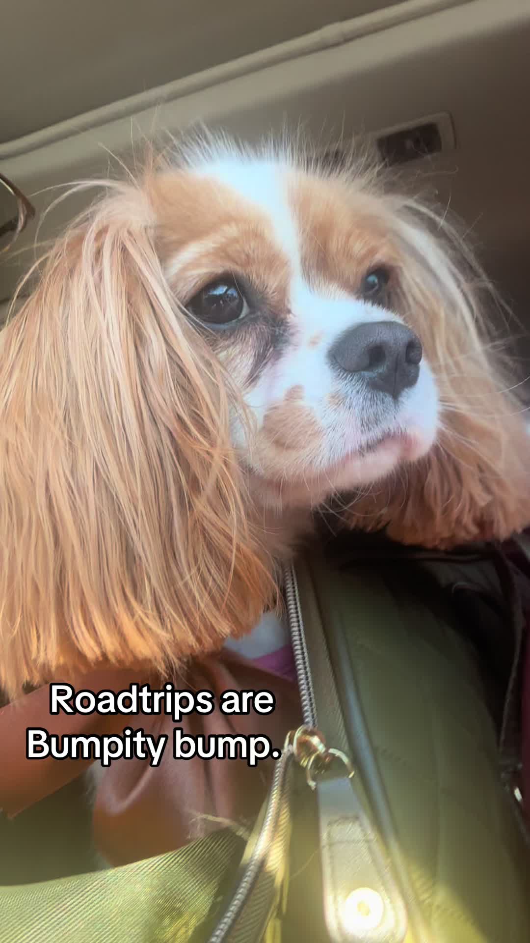 @MamasHiLife