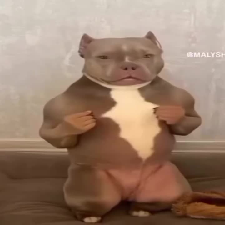 @𝙩^𝙚𝙙𝙞𝙩𝙨