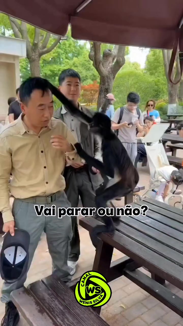 @Wenis Silva Oficial