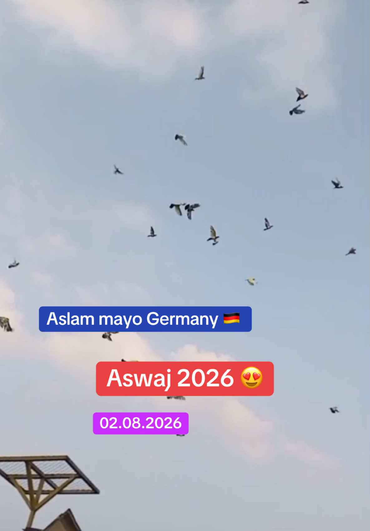 @Aslam Mayo Germany 🇩🇪