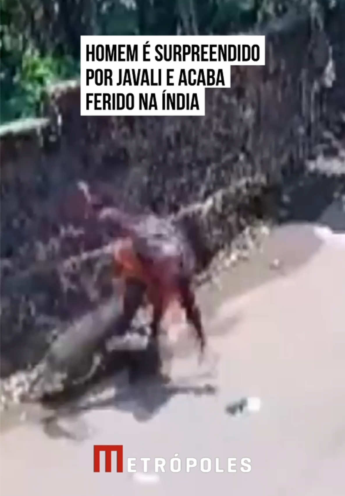 @Metrópoles Oficial