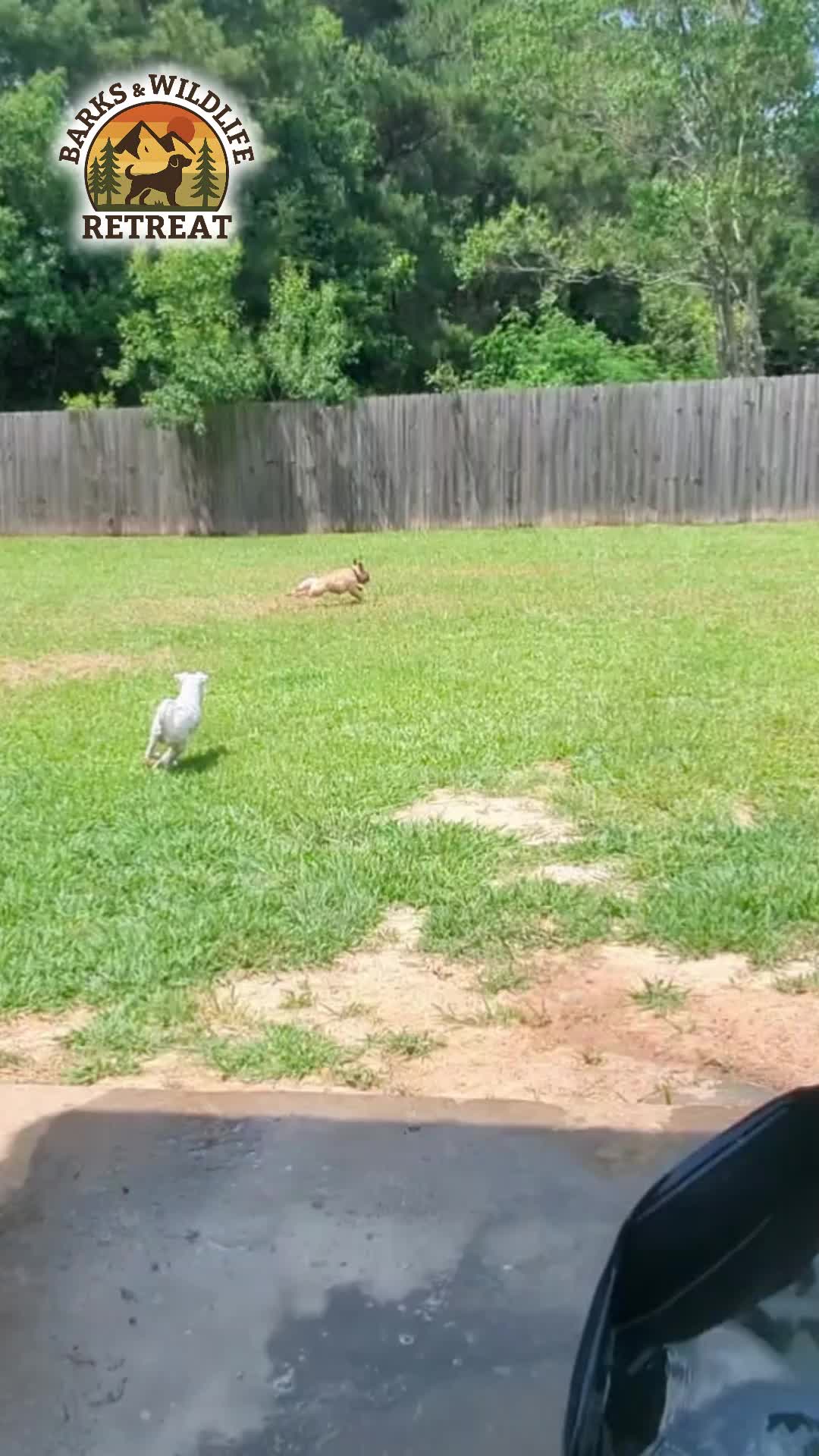 @Barks & Wildlife Longville LA