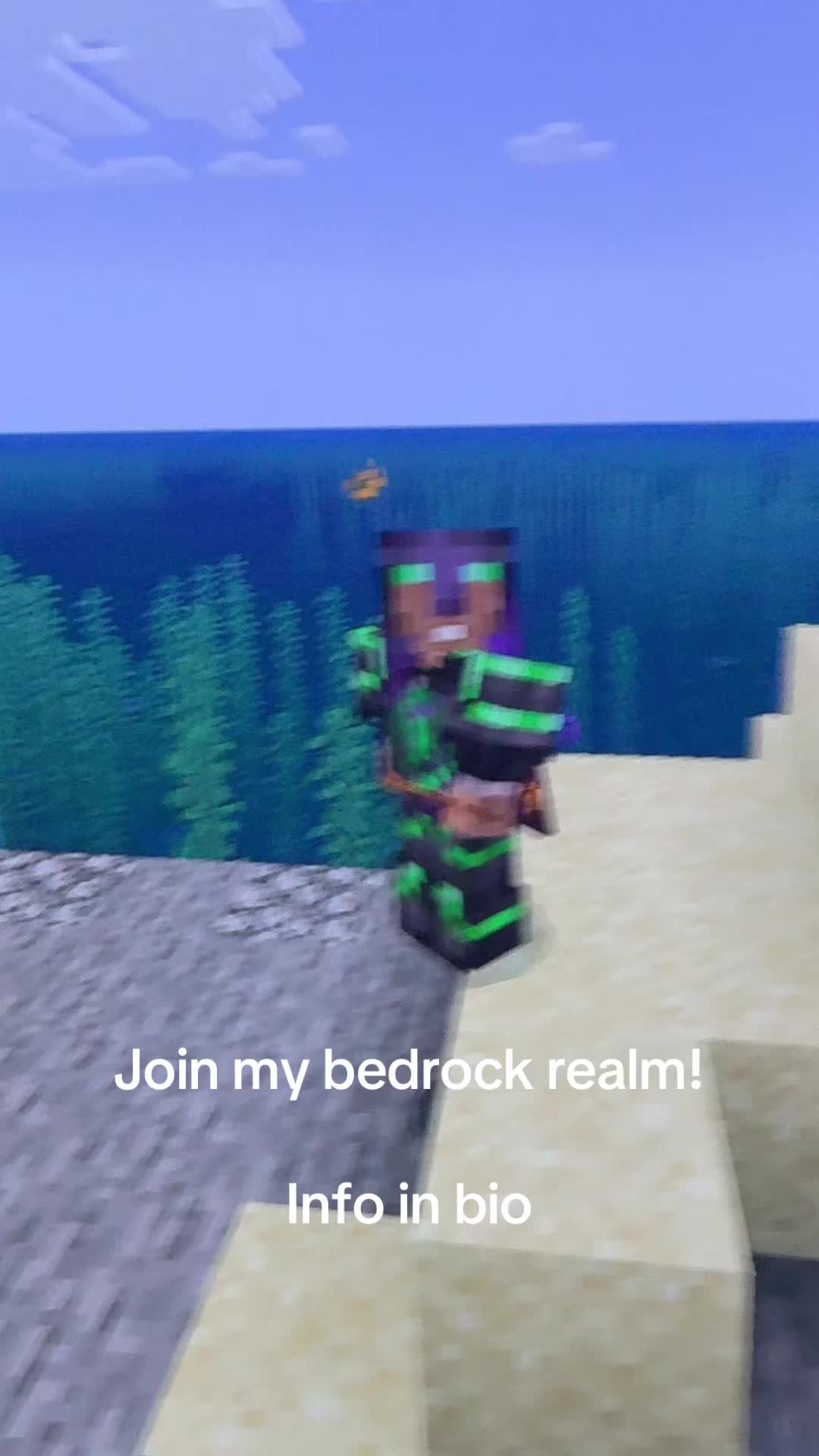 @VillagerSMP