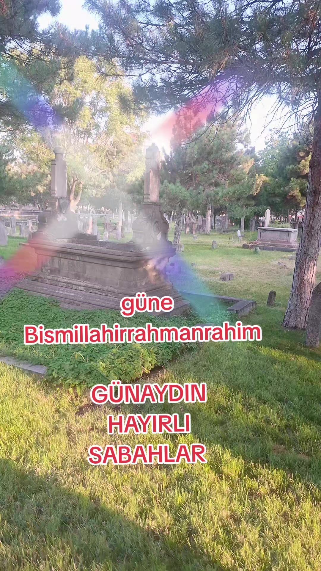 @gulvehsrn