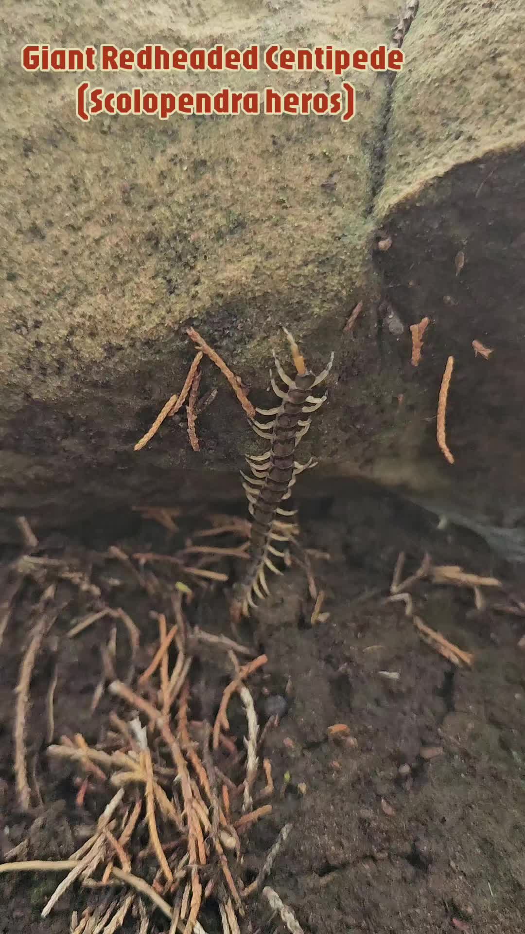 @ThatOKBiologist