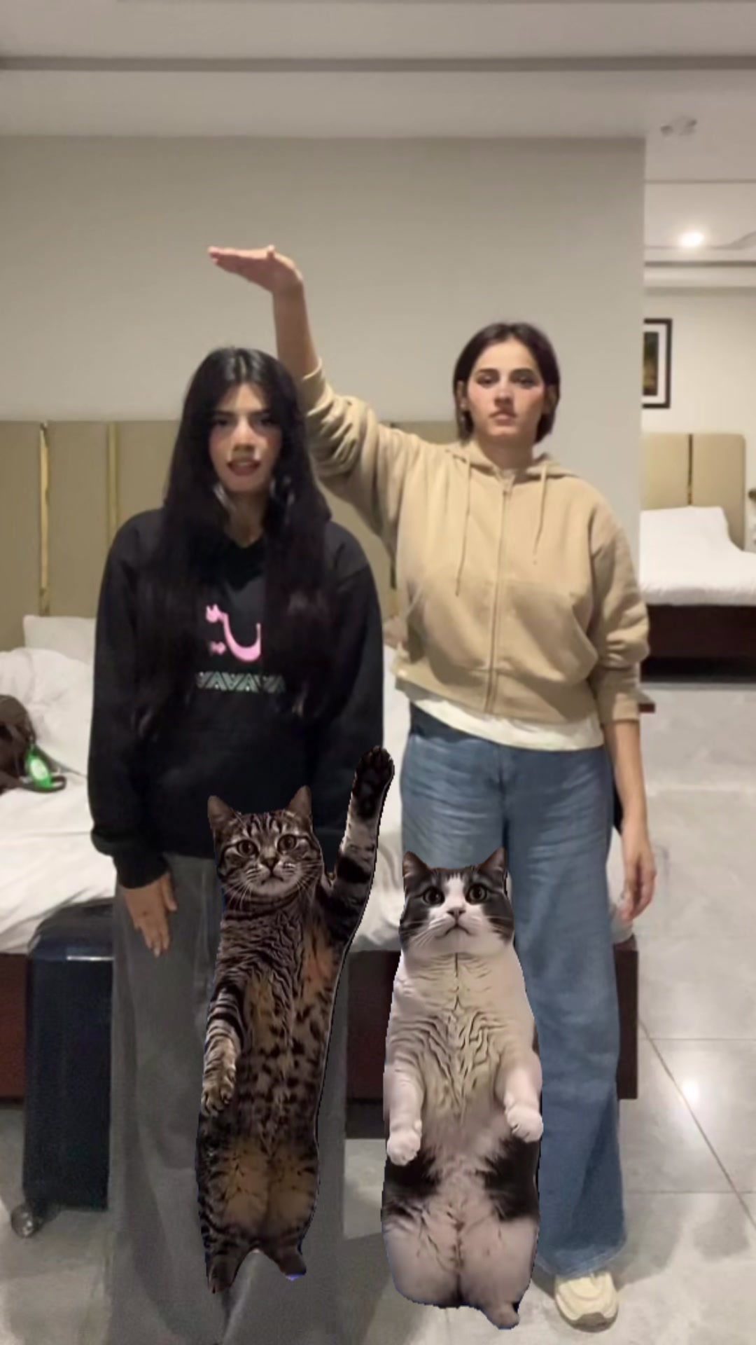 @laihaasif