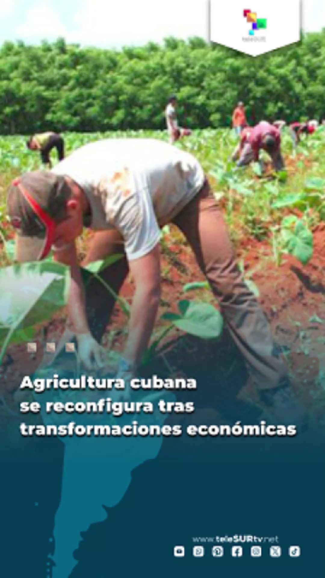 @teleSUR Clips