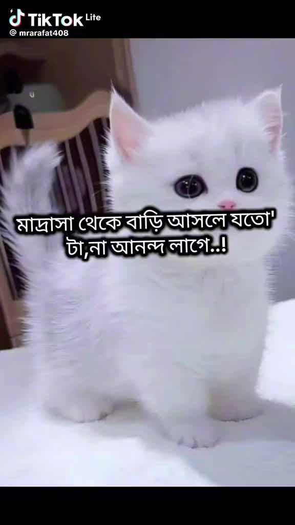 @❤️পিচ্চি মেয়ে❤️