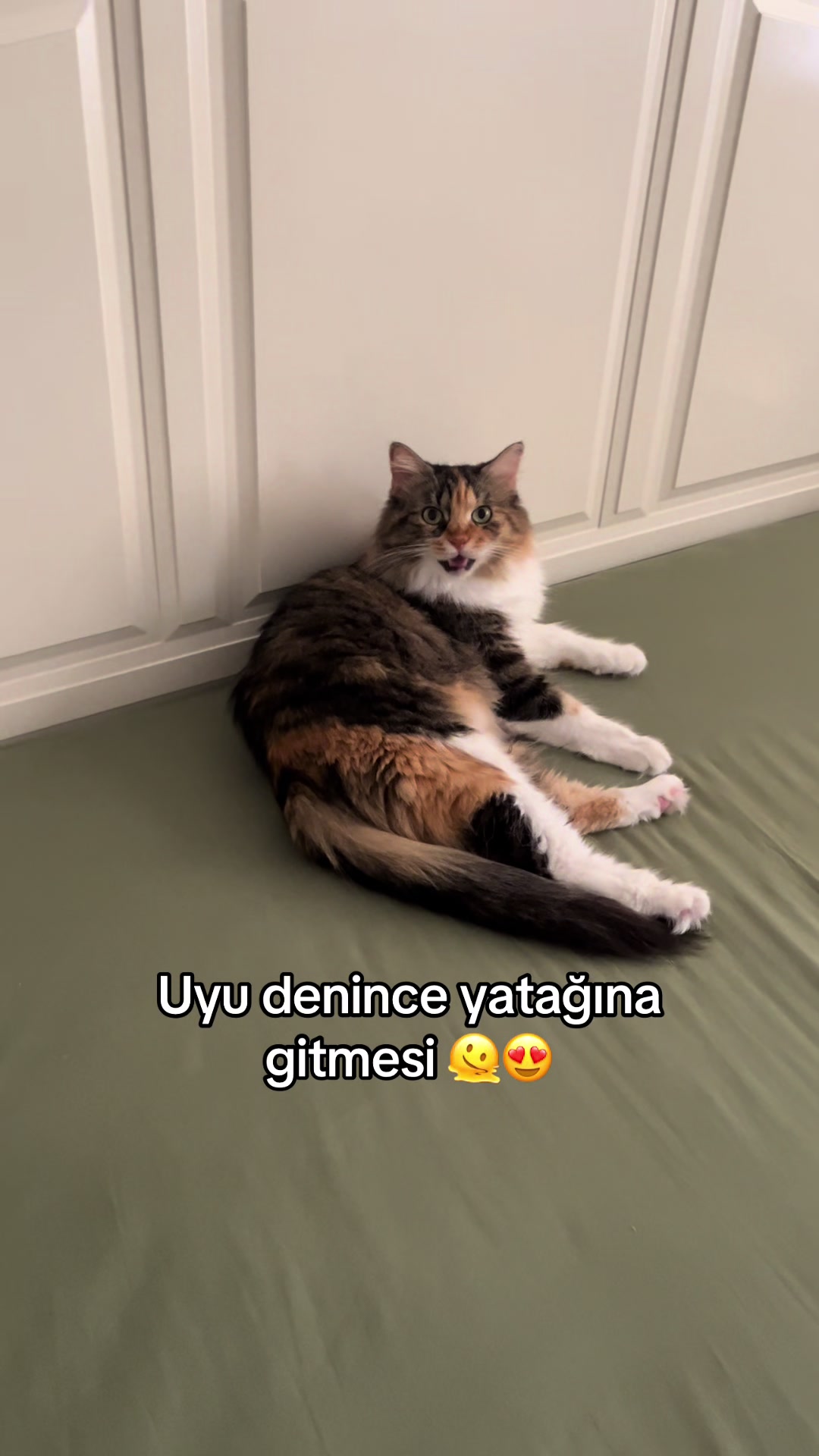 @konusankediminnos