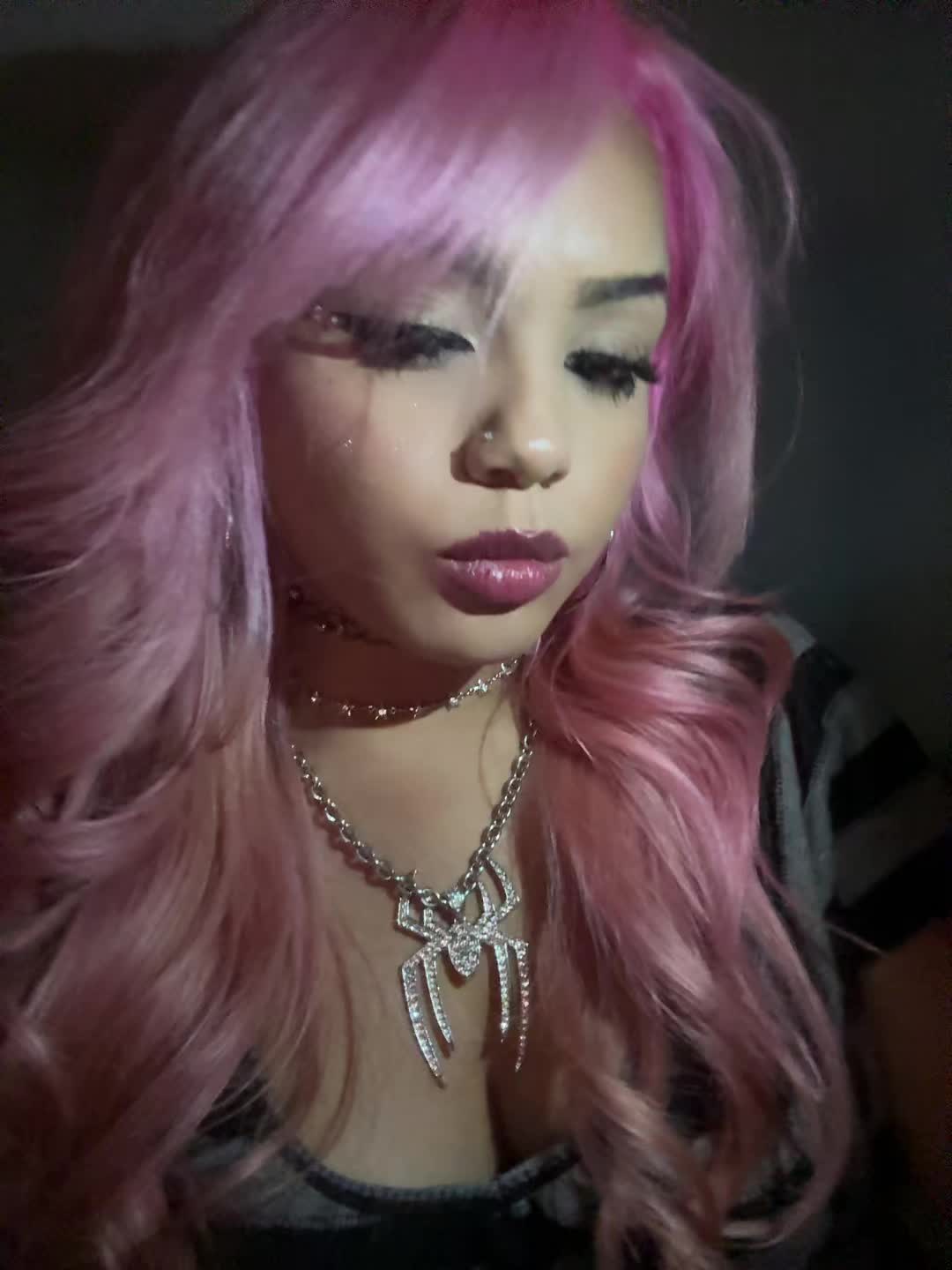 @arizstocat