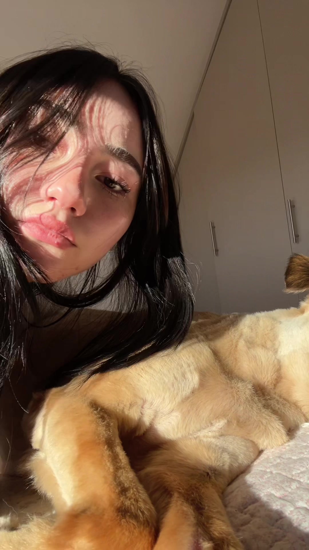 @Ani