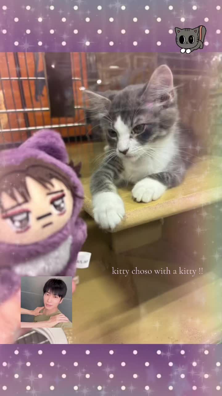 @⋆kami⋆