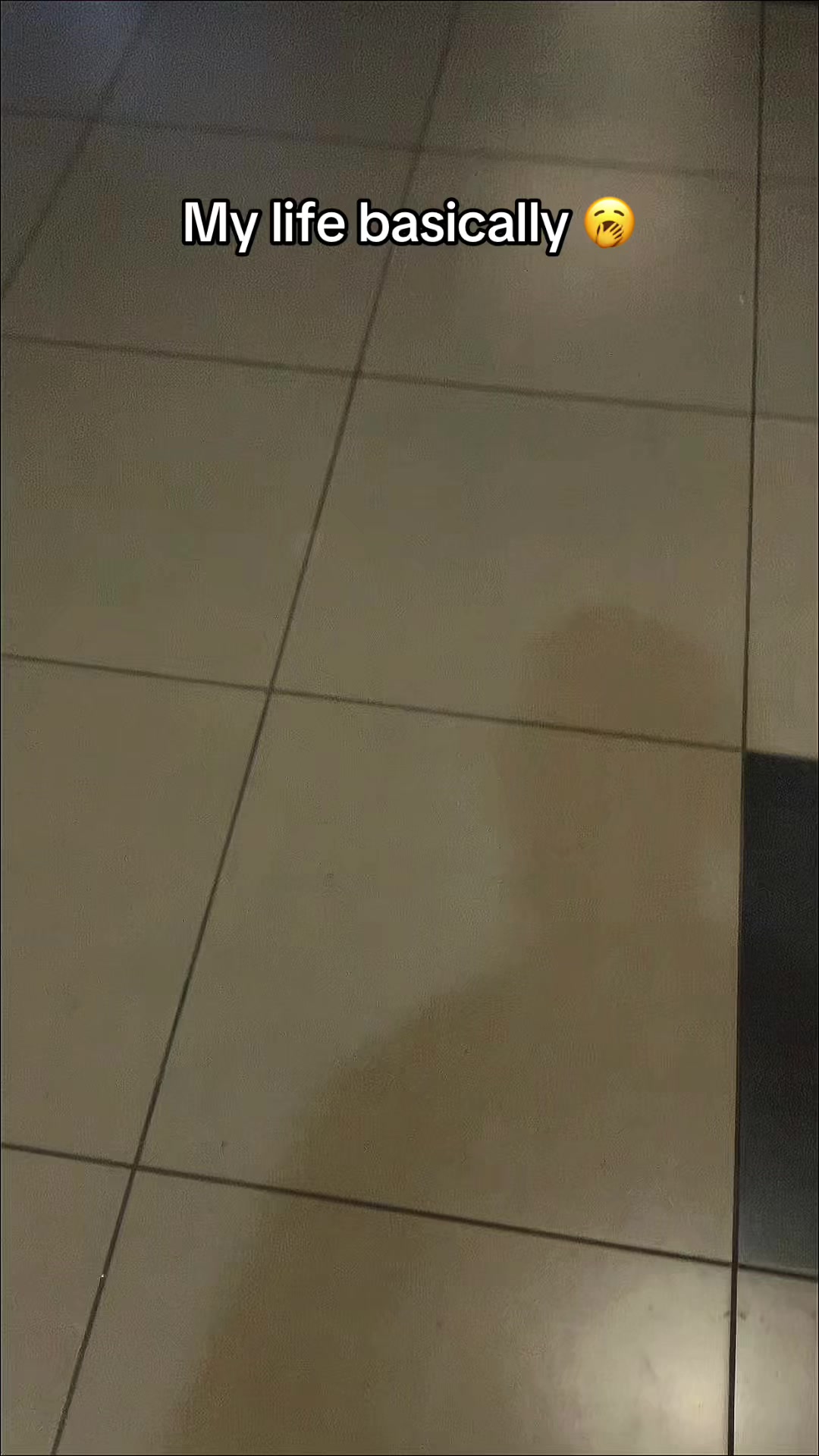 @DICHII💨