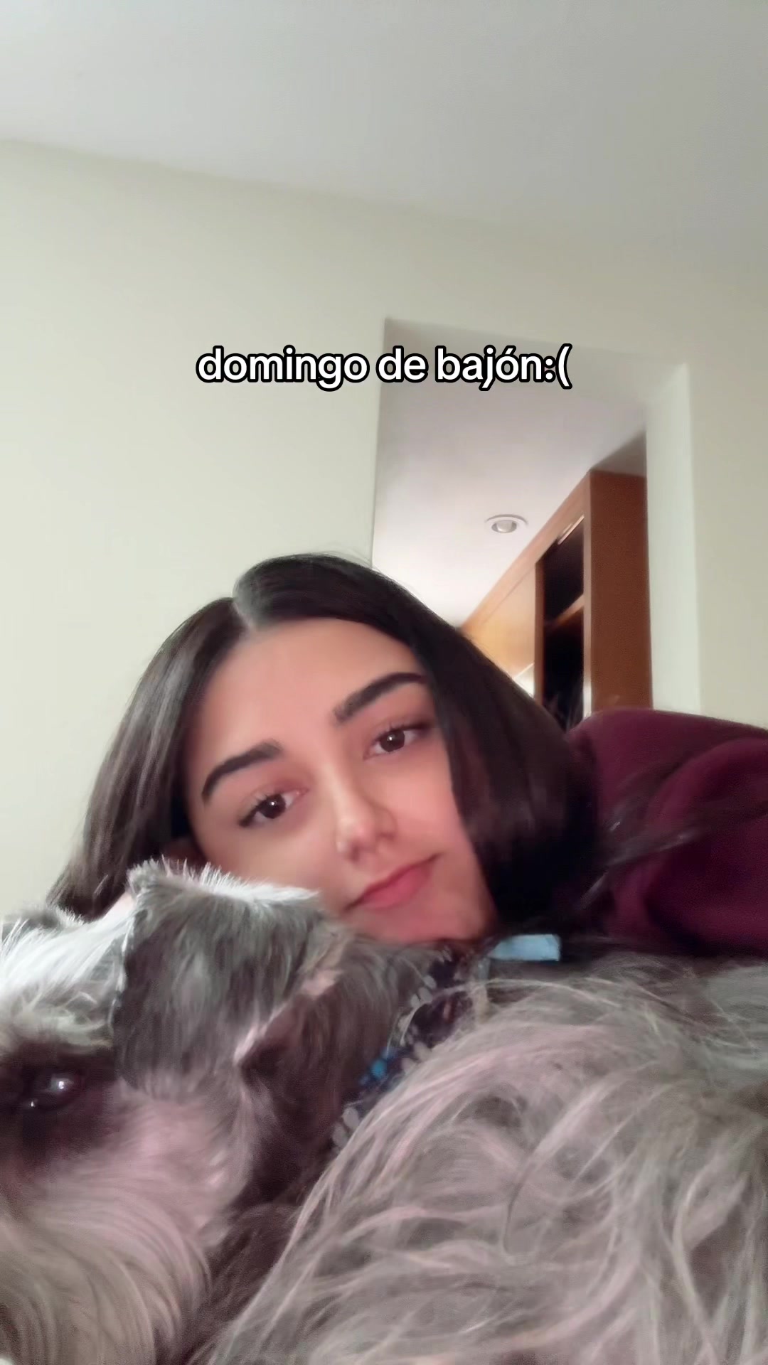 @dani