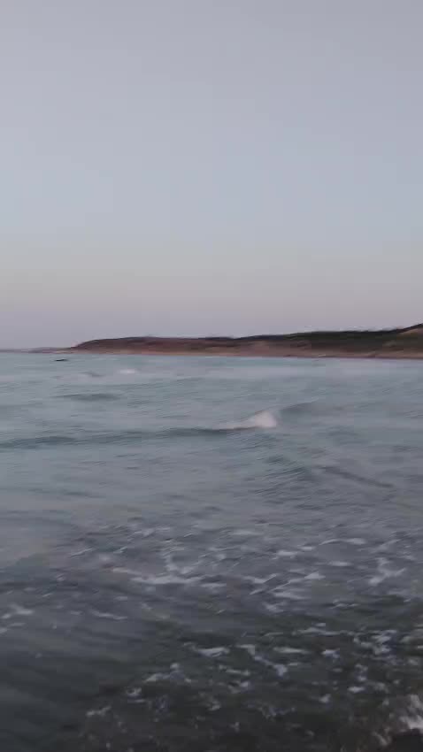 @ELXAN 531