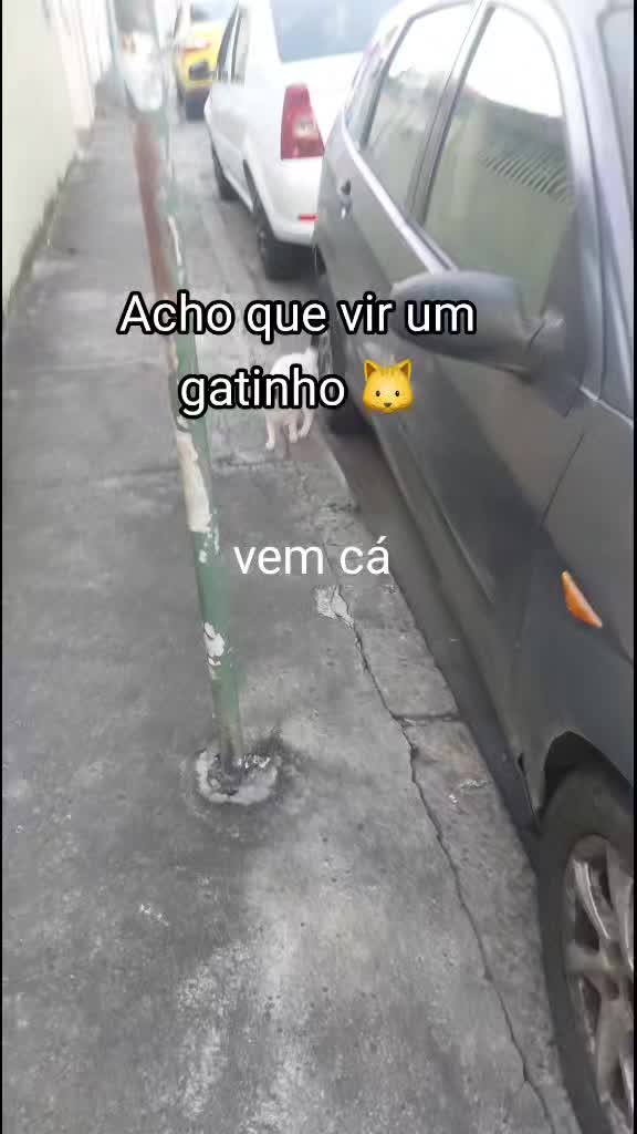 @Simonemathias1