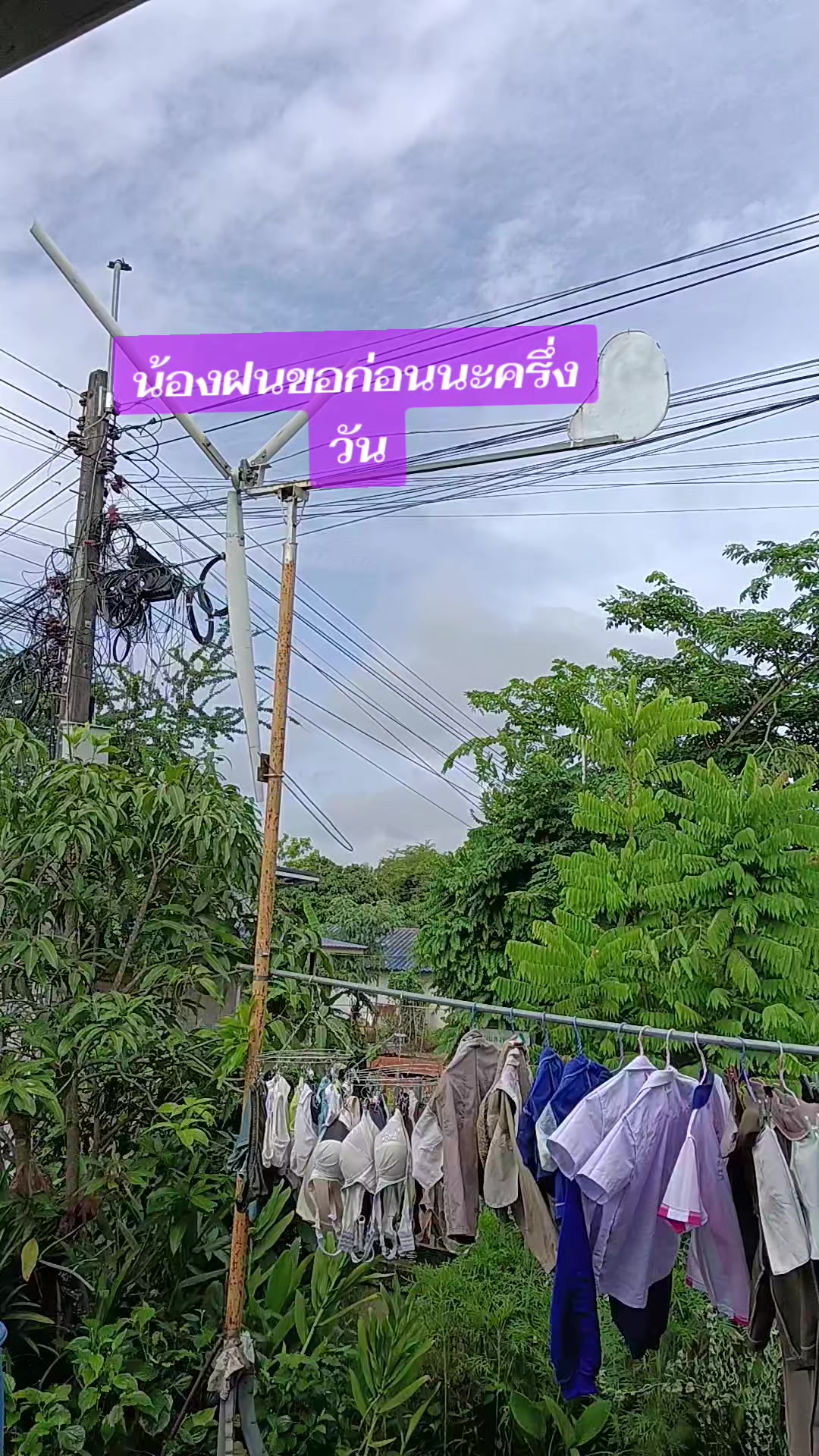 @pranee
