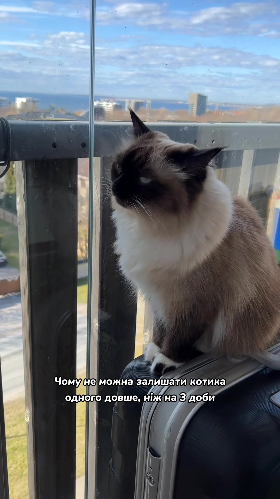 @Місс КІСЯ