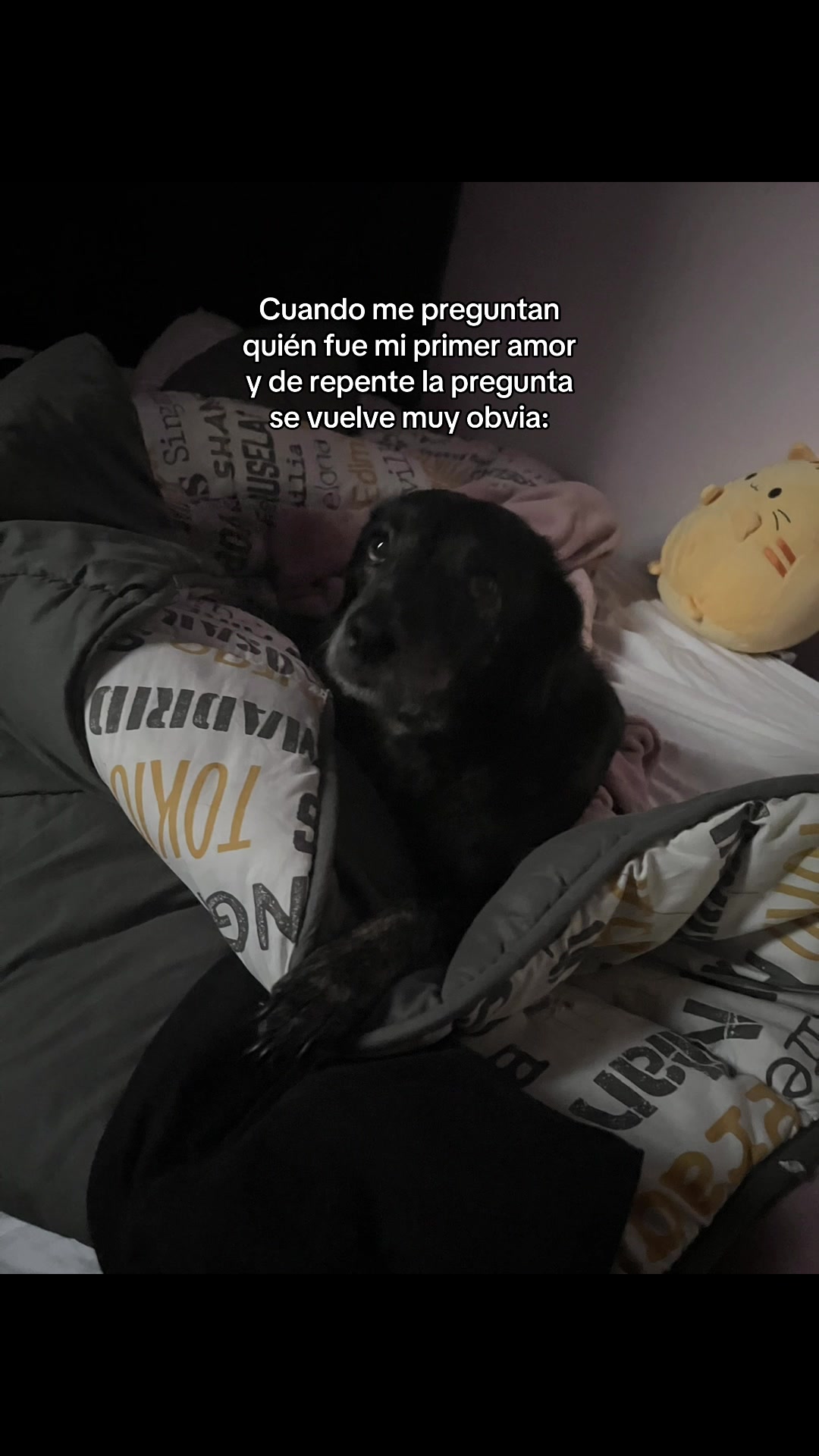 @kittygo