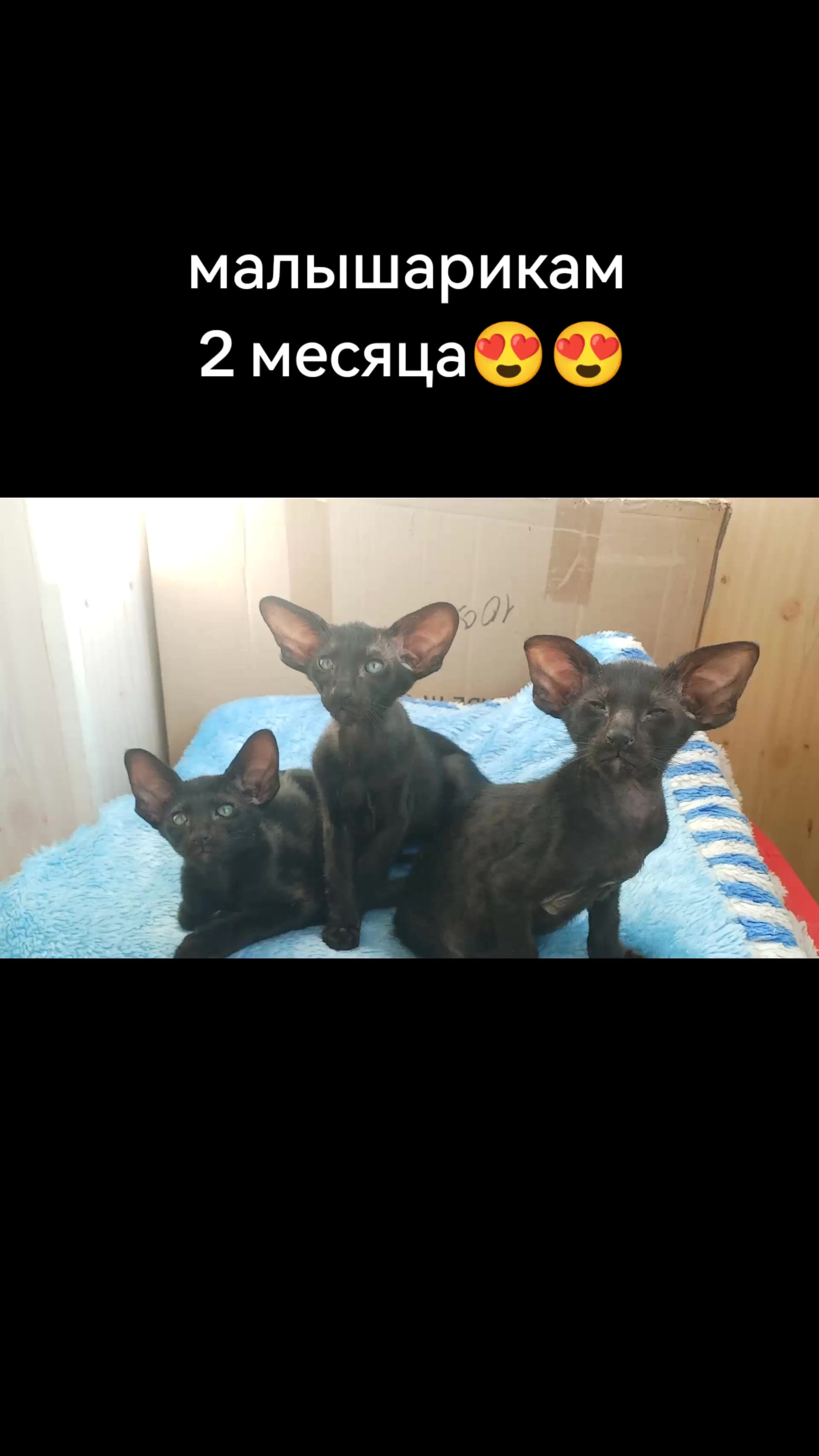@Наталья