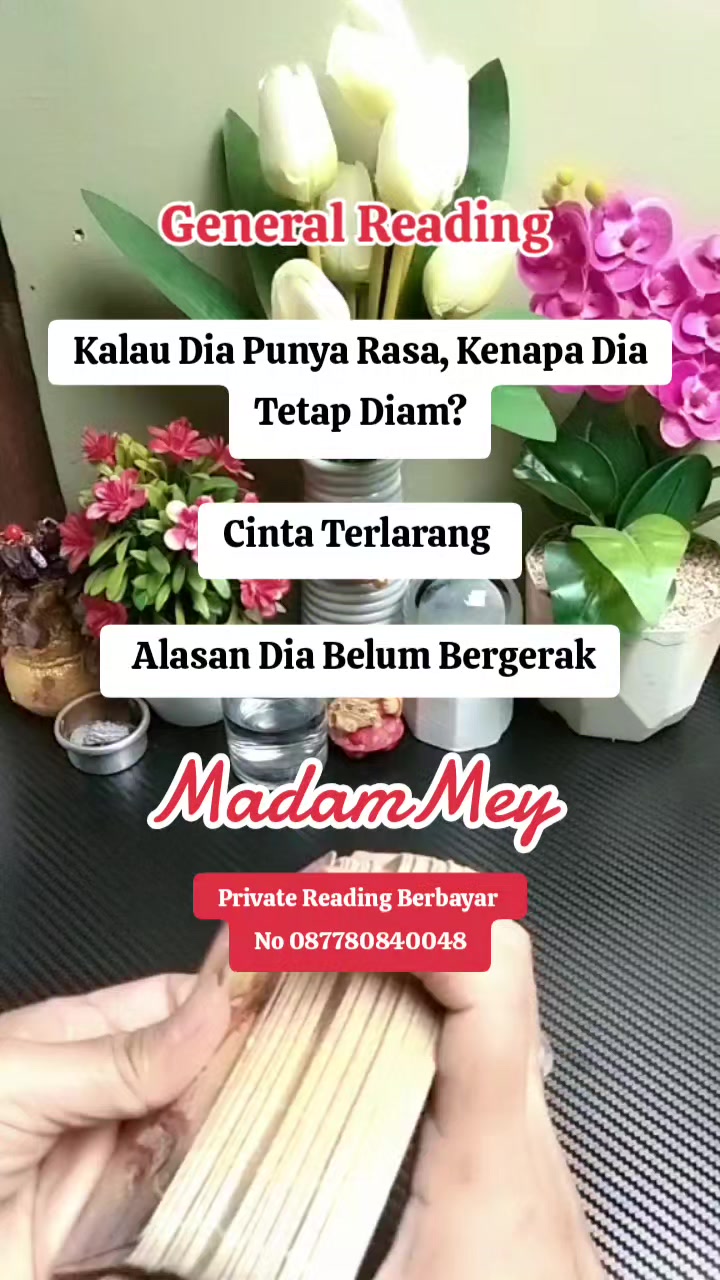 @🇲🇨MADAM MEY🇲🇨