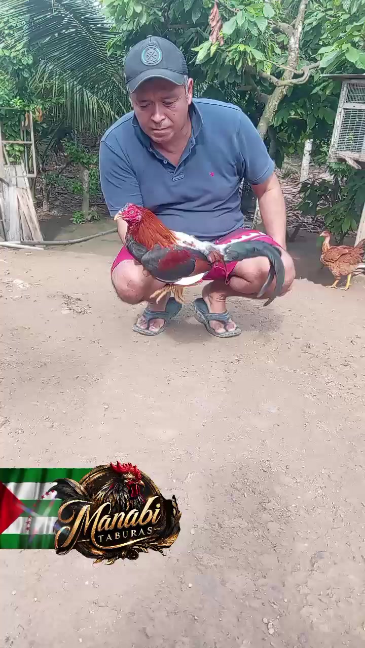 @MANABI TABURAS
