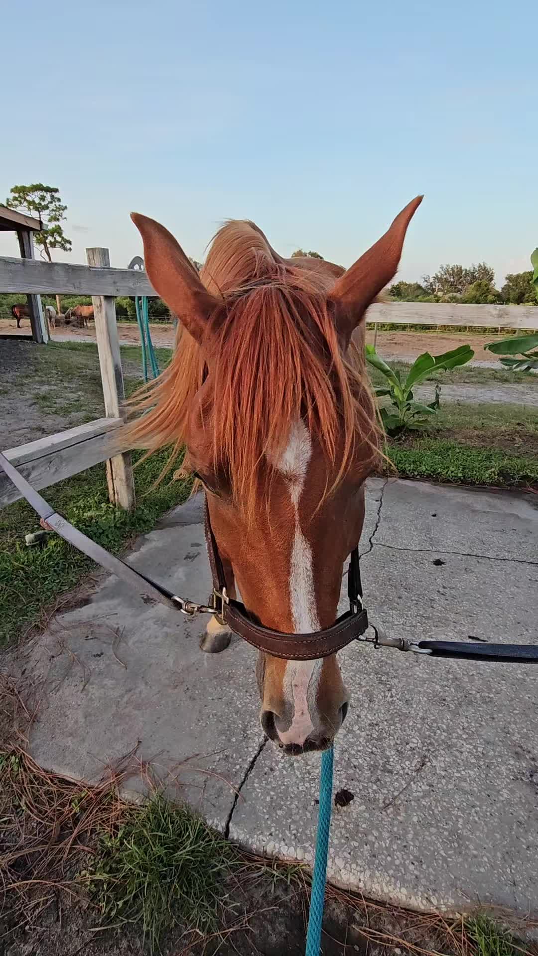 @Rachelrides