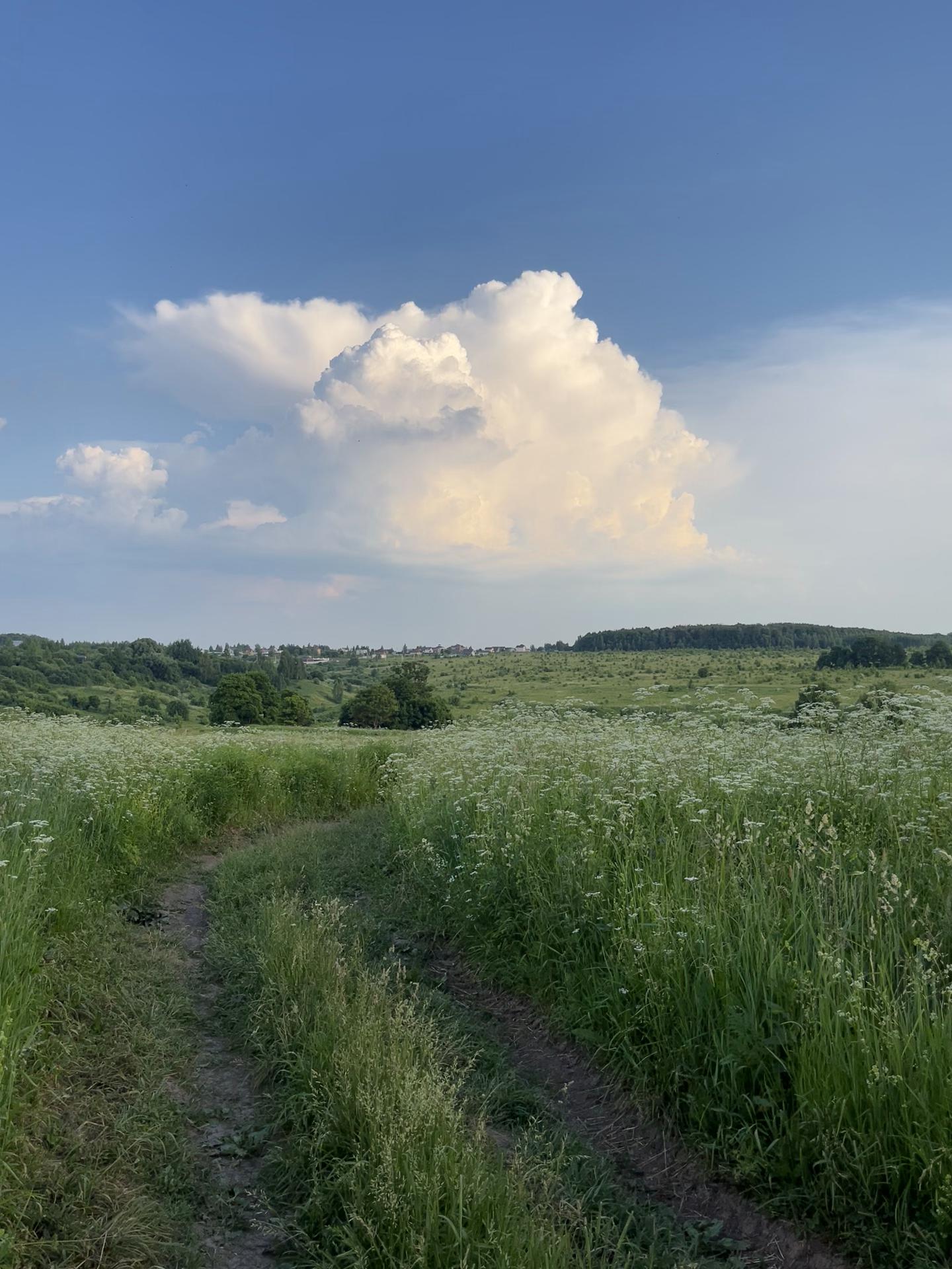 @влюбленные в природу