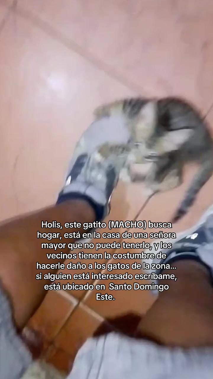 @Ling